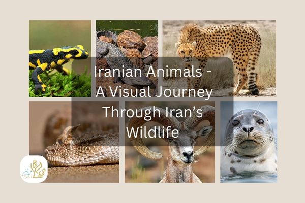 iranian animals